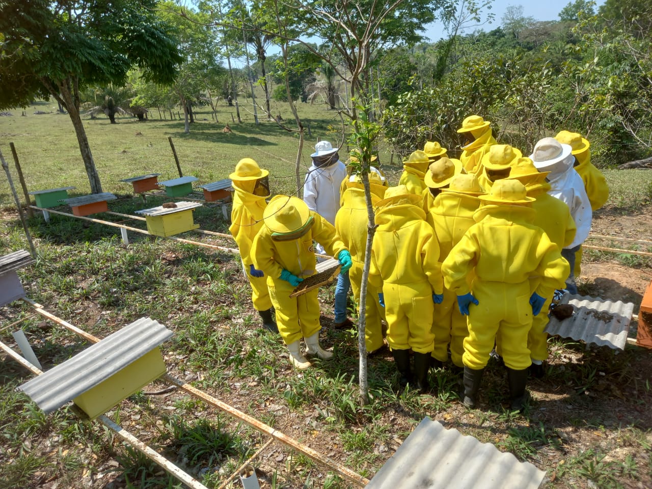 Datas reforçam a importância da conscientização em defesa da biodiversidade e do equilíbrio dos ecossistemas